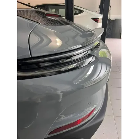 992.gt3_.touring.spoiler.lip_.moshammer.webp