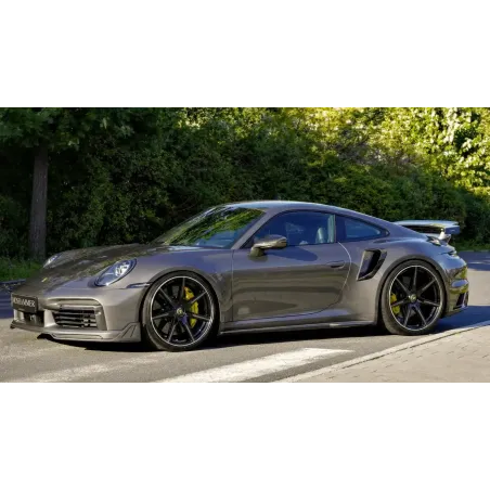 992.turbo_.s.ultimate.evo_.moshammer.m979gt.grey_.2.webp