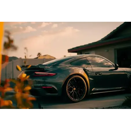 991.turbo_.s.wing_.moshammerc.webp