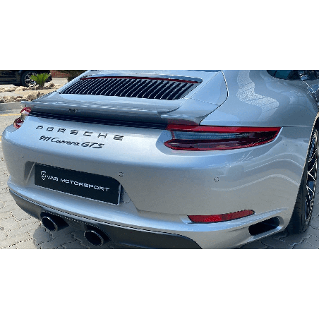 991.2carrera_gts_ducktail-moshammer.png